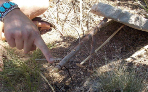 Piute Deadfall Trap